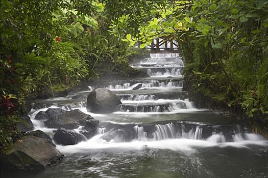 河,瀑布,水池,雨林,哥斯达黎加