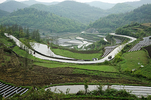 田地