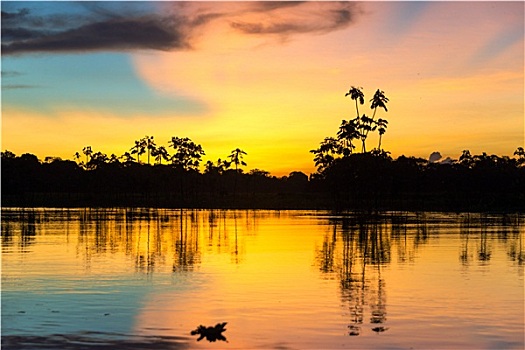 彩色,亚马逊地区,日落