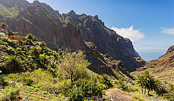 高处,峡谷,特内里费岛,加纳利群岛,西班牙,欧洲