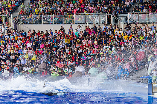 海洋公园虎鲸表演观众