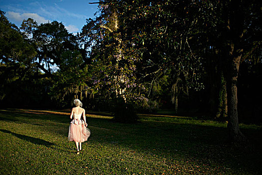女人,粉红裙,走,草坪,后视图