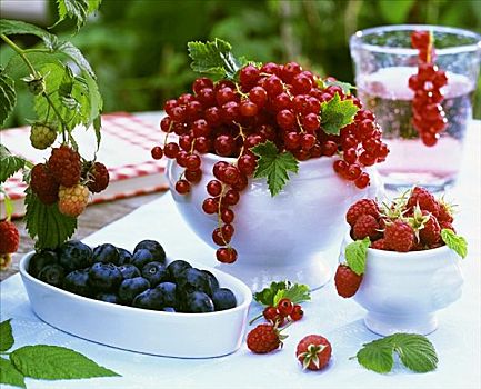 红醋栗,蓝莓,树莓,碗