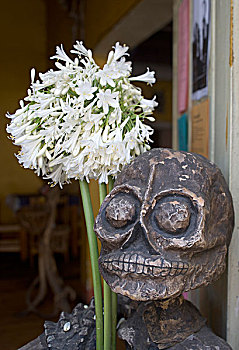 墨西哥,瓦哈卡,头骨,亡灵节,骨骼,装饰,白花,餐馆,入口,靠近,历史,佐卡罗