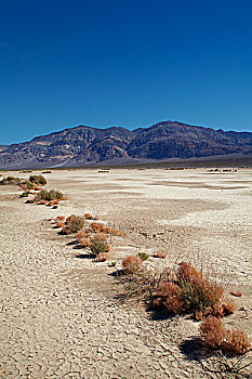 盐磐,山谷,死亡谷国家公园,莫哈维沙漠,加利福尼亚,美国