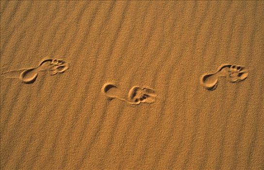 脚印,沙子