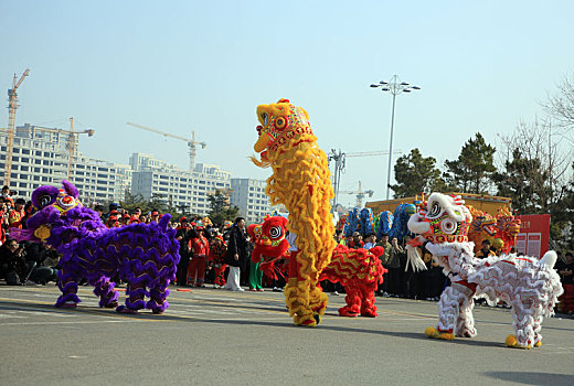 山东省日照市,舞龙舞狮喜迎二月二,醒狮表演精彩纷呈