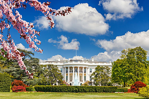 白宫,春天