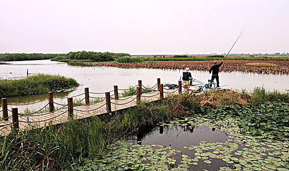 南沙湿地公园