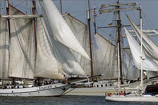 帆船,基尔,峡湾,星期,2008年,石荷州,德国,欧洲