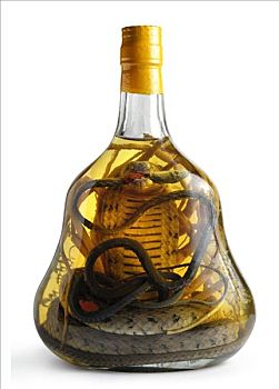 异域风情,亚洲,喝,纪念品,瓶子,两个,有毒,蛇,眼镜蛇,毒蛇,濒危物种,酒