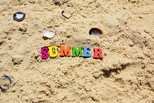 铭刻,夏天,沙滩,海贝