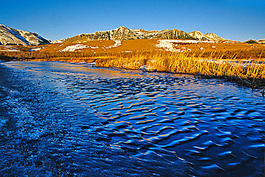 冰,波纹,水塘,瓦特顿湖国家公园,艾伯塔省,加拿大