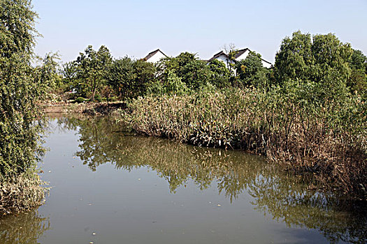 西溪,湿地,民居,建筑,杭州