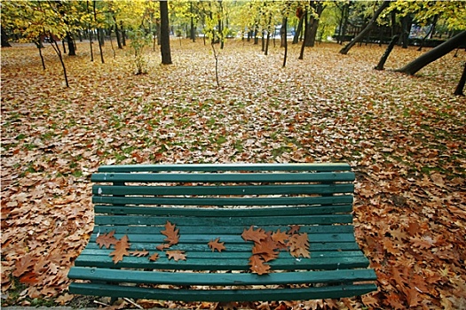 空,秋天,长椅