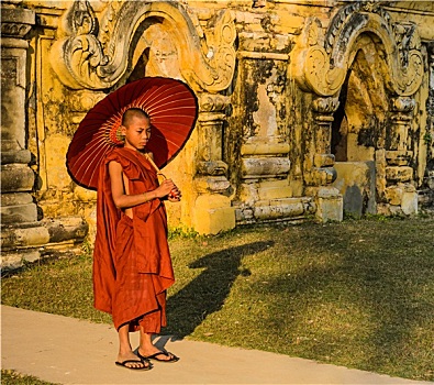 佛教,新信徒,拿着,伞,寺院,缅甸