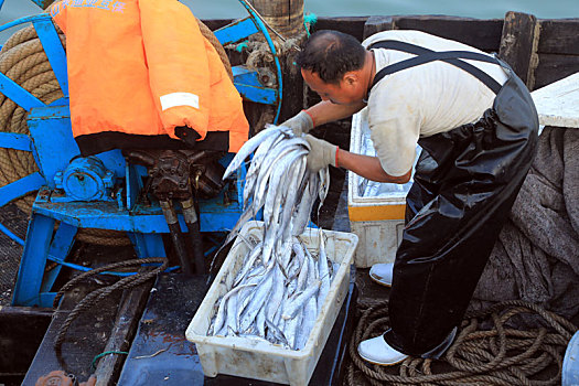 山东省日照市,渔码头变身海鲜市场,市民开启买买买模式
