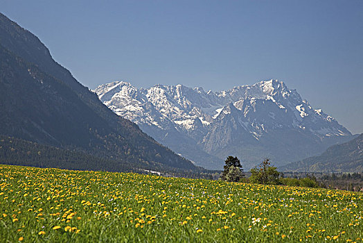 风景,雪,楚格峰,上巴伐利亚,巴伐利亚,德国南部,德国