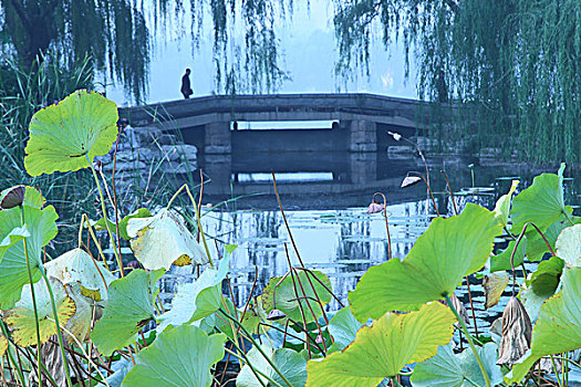 1991年5月北京西城区中山公园唐花坞原片120翻转片