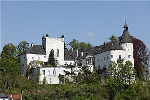 城堡,多瑙河,上奥地利州,奥地利,欧洲
