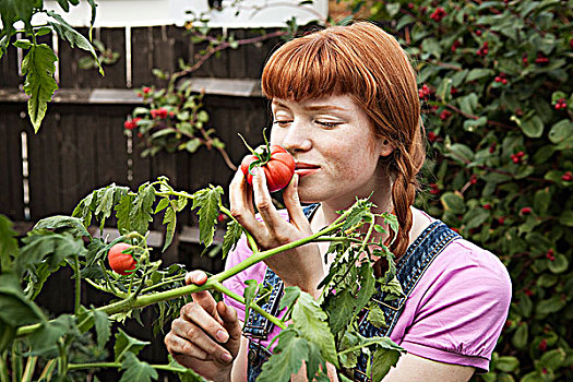 女人,自产,西红柿,花园