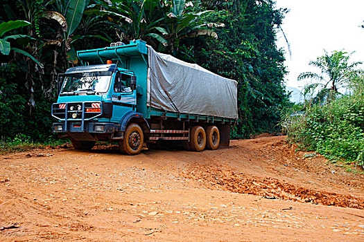 卡车,驾驶,道路,丛林,喀麦隆,非洲