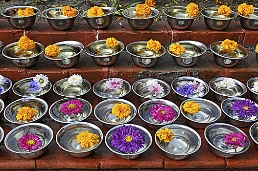 尼泊尔,加德满都,器具,花,祈祷,会面