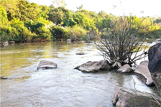 河流,树林,泰国