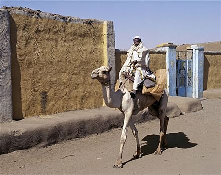 努比亚,男人,骆驼,一个,尘土,街道,乡村,挨着,尼罗河,北方,苏丹,安静,许多,传统建筑,装饰,弯曲,图案