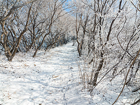 航拍济南章丘胡山雪景