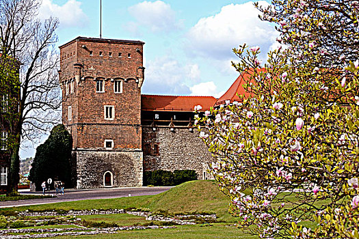 波兰,内院,城堡,塔,克拉科