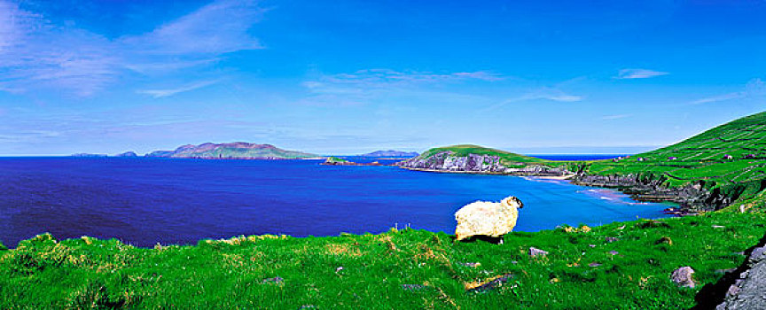 头部,岛屿,丁格尔半岛,爱尔兰