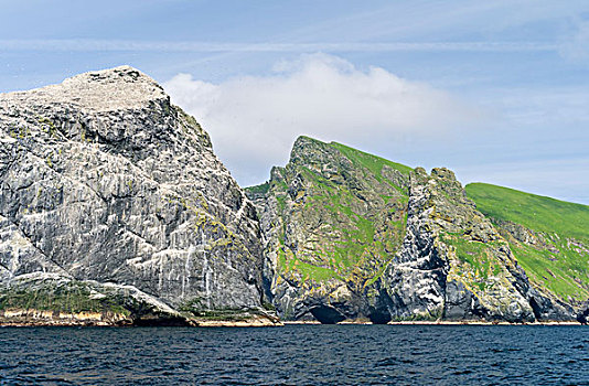 岛屿,群岛,苏格兰,北方,塘鹅,憨鲣鸟,全球,大幅,尺寸