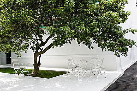 白色,椅子,桌子,坐,室外,树,后院,花园