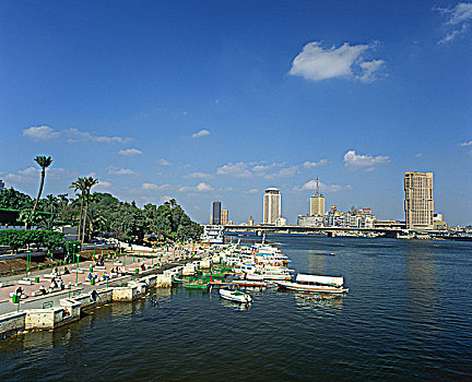 埃及,开罗,尼罗河,城市