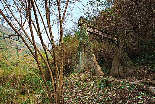 海曙,龙观,大松湾古道,芦苇,山路