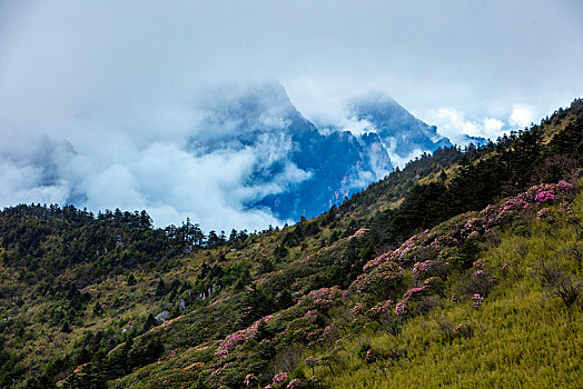 神农架,神农顶,风景,景点,旅游,高山,瀑布,河流,神秘,树木,植被,石头,鄂西,云海,峡谷,壮观