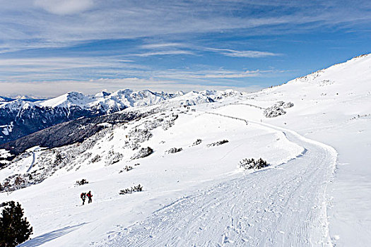 越野滑雪者,向上,山,高处,靠近,远眺,山谷,意大利,欧洲