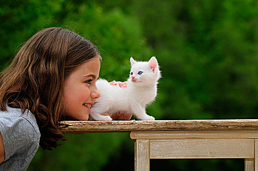 女孩,白色,小猫,老,木桌子,绿色背景,模糊