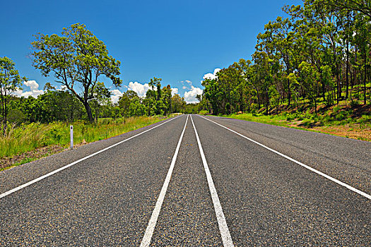 道路,夏天,公路,昆士兰,澳大利亚