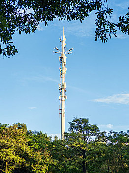 户外拍摄的通信信号塔