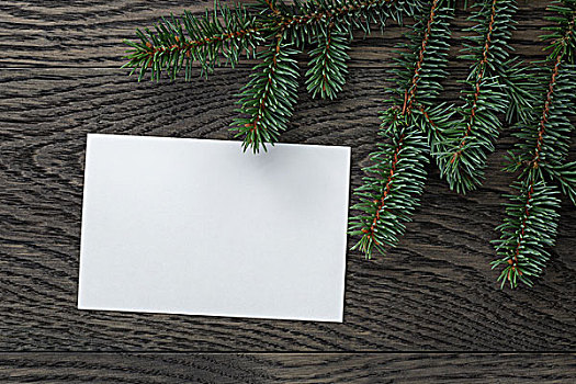 杉枝,纸,卡片,橡树,桌子,俯视,圣诞节,背景