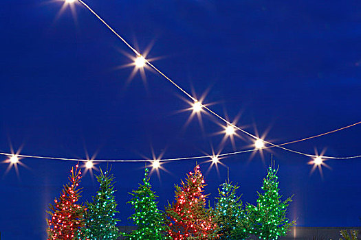 圣诞树,悬挂,灯泡