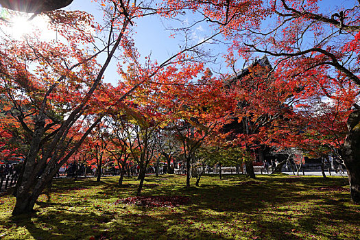 日本京都南禅寺