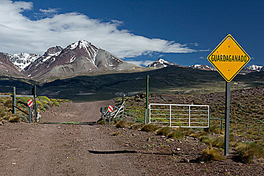 标识,警告,正面,阿根廷,安第斯山脉,巴塔哥尼亚,南美,北美