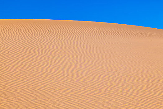 沙丘,日出,沙漠