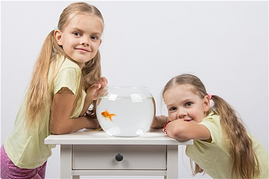 两个女孩,小,鱼缸,金鱼