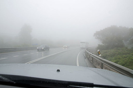 驾驶,雾,坏天气