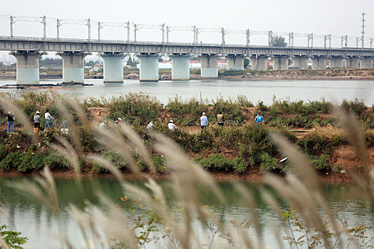 付疃河湿地公园成垂钓乐园,市民挥杆垂钓乐享假期