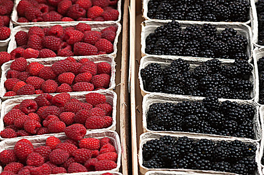 新鲜,树莓,黑莓,盒子,市场,巴登符腾堡,德国,欧洲